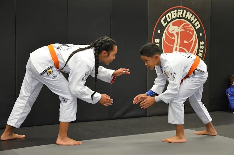 Cobrinha Brazilian Jiu-Jitsu & Fitness cover